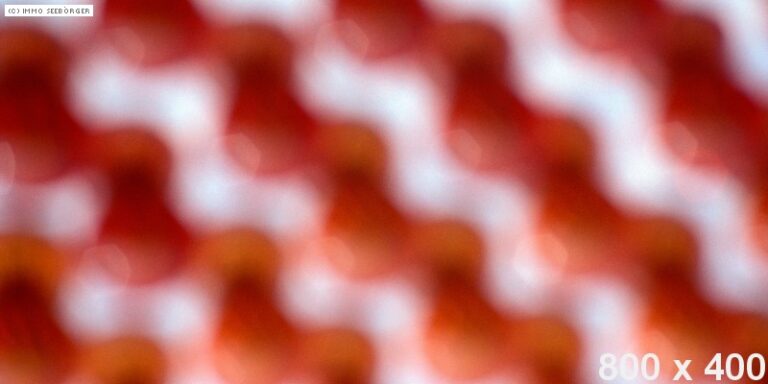 dummy-800x400-Circus